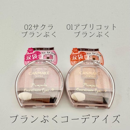 プランぷくコーデアイズ/キャンメイク/パウダーアイシャドウを使ったクチコミ(2枚目)