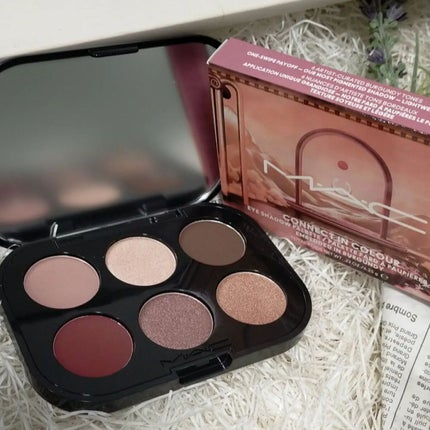 コネクト イン カラー アイシャドウ パレット × 6/M・A・C/アイシャドウパレットを使ったクチコミ(5枚目)