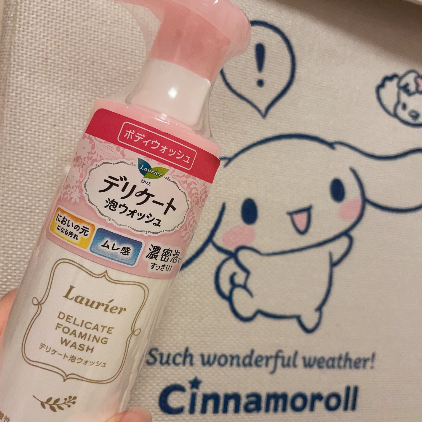 デリケート泡ウォッシュ/ロリエ/デリケートゾーンケアを使ったクチコミ(1枚目)