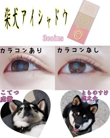 私のためのアイシャドウなのですか？？コレは😇
画像3はサービスです😇🙌

柴犬  しばいぬ  シバイヌ  sibainu  ฅ´•ᴥ•`ฅ

あいしゃどぉおぉおぉおぉお

はい。全国の柴犬好きさん。
集