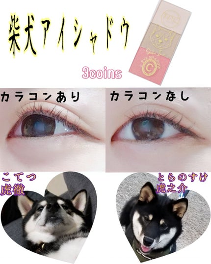 MCスリムアイシャドウ/3COINS/アイシャドウパレットを使ったクチコミ(1枚目)