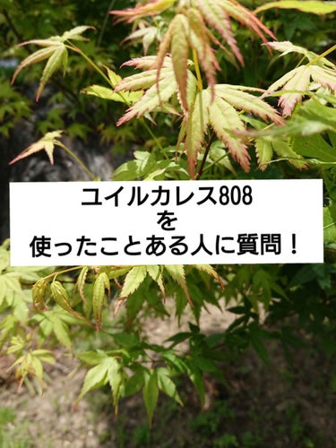 

Amazonで注文したらこれが届いたんです

容器は確かに808だけど中身が明らかに青い


元々こーゆー色なんですか？

何か知ってることあればコメント欲しいです！