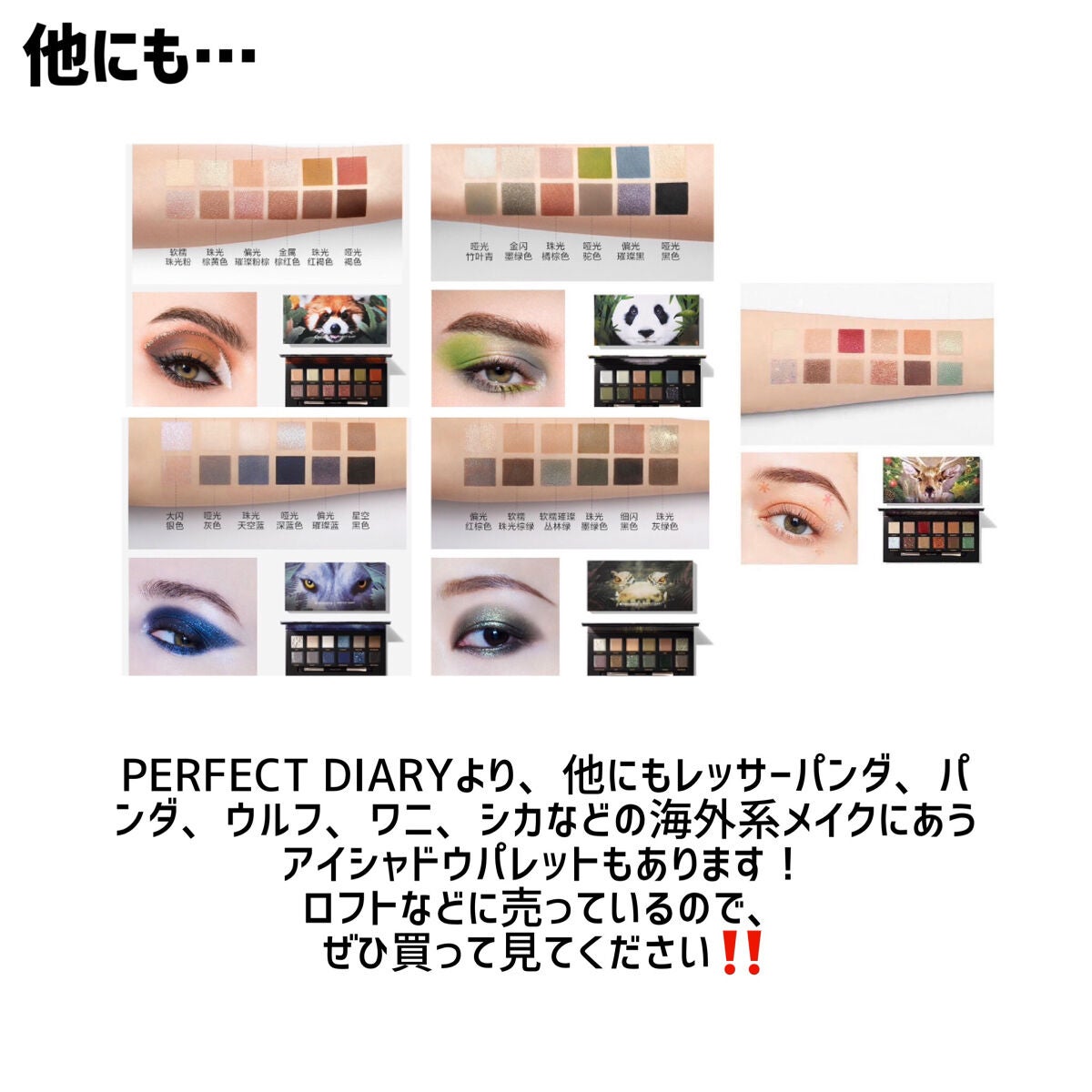 エクスプローラ12色 動物アイシャドウパレット/PERFECT DIARY/アイシャドウパレットを使ったクチコミ(9枚目)