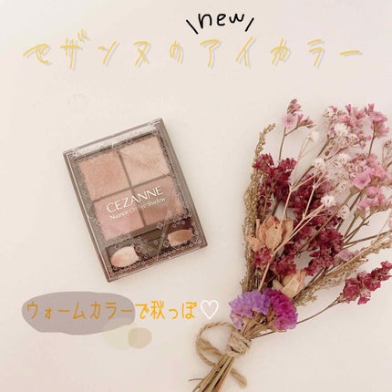 ニュアンスオンアイシャドウ/CEZANNE/アイシャドウパレットを使ったクチコミ(1枚目)