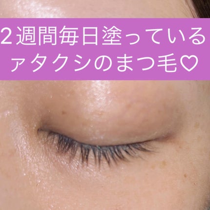 ロングアクティブアイラッシュセラム/COSNORI/まつげ美容液を使ったクチコミ(3枚目)