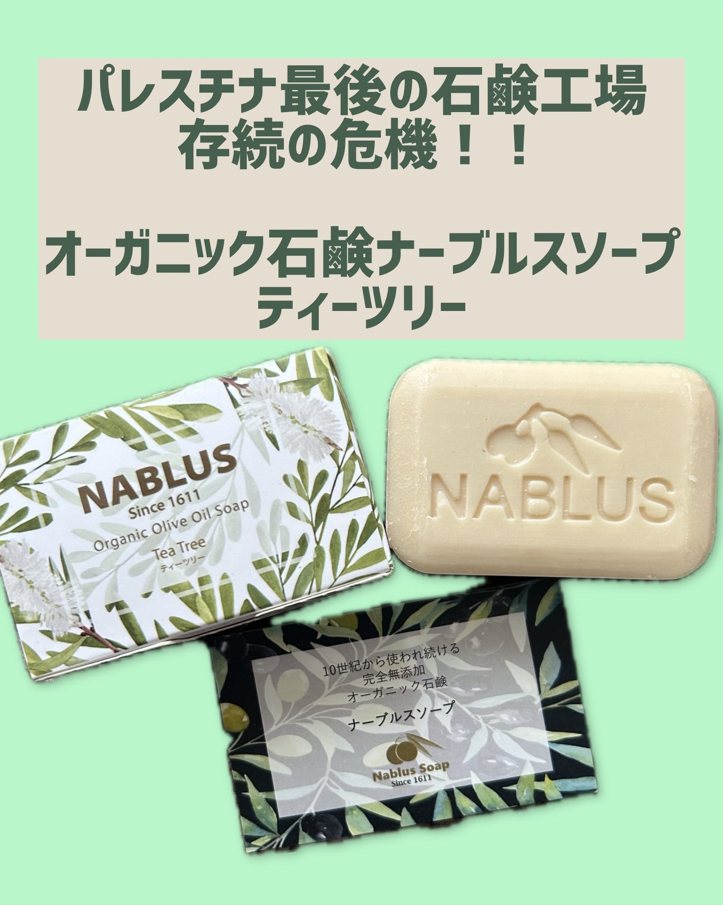 ナーブルスソープ(タイム)オーガニック・ヴィーガン・フェイシャル&ボディー石鹸/ナーブルスソープ/ボディ石鹸を使ったクチコミ(1枚目)