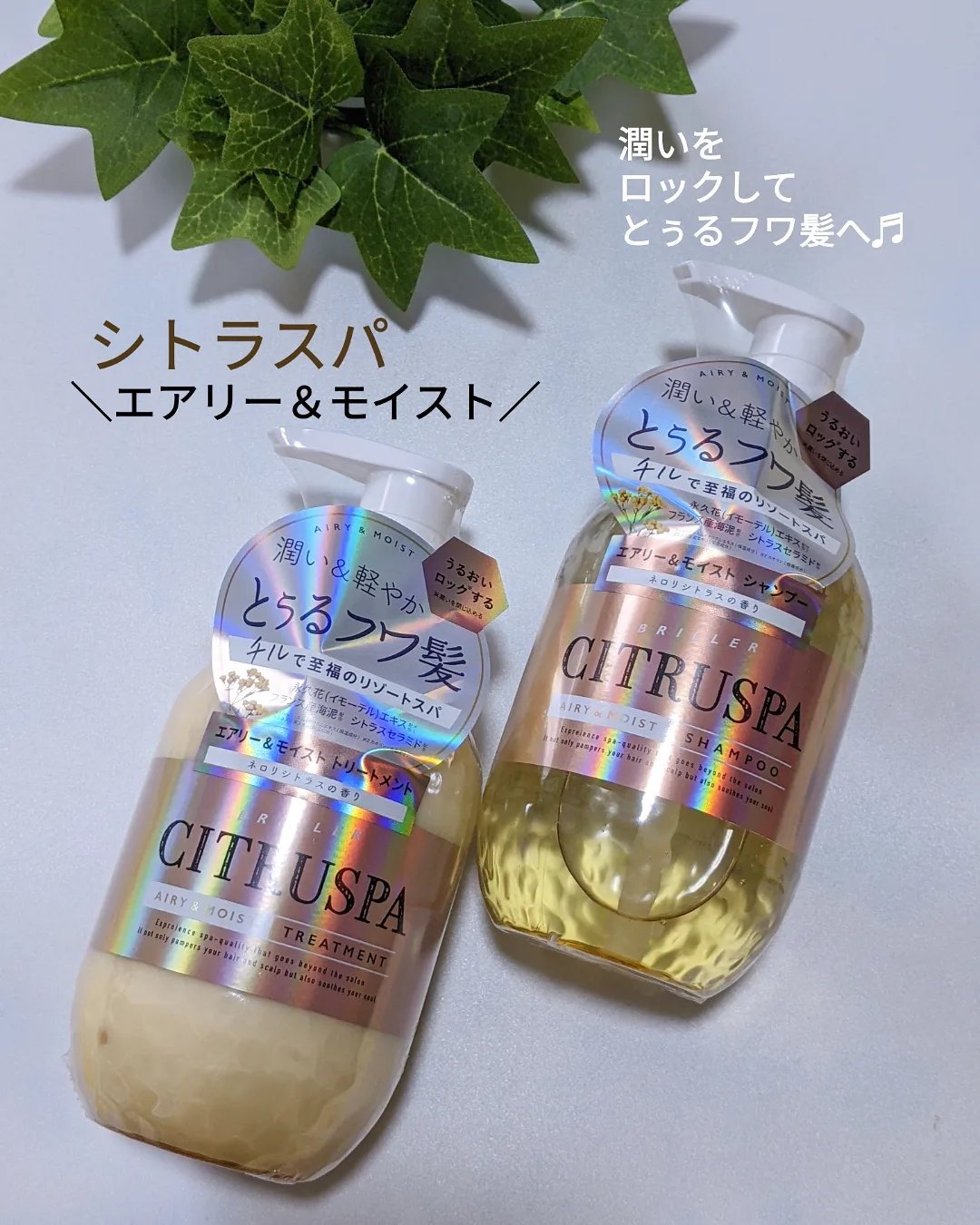 シトラスパ スムース シャンプー&ヘアトリートメント/コスメテックスローランド/市販シャンプーを使ったクチコミ（1枚目）
