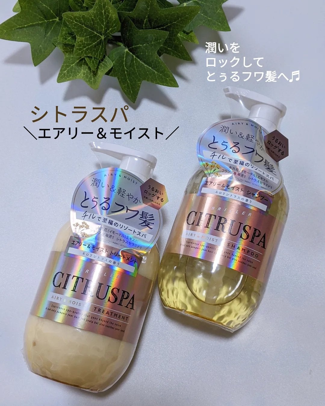 シトラスパ スムース シャンプー&ヘアトリートメント/コスメテックスローランド/市販シャンプーを使ったクチコミ(1枚目)