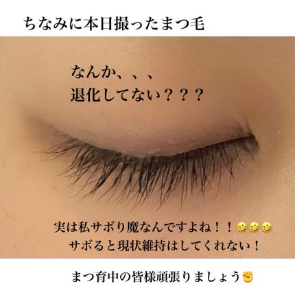 EMAKED(エマーキット)/水橋保寿堂製薬/まつげ美容液を使ったクチコミ(6枚目)