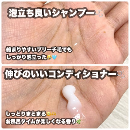 ファイバープレックス ボンド シャンプー/ボンド トリートメント/シュワルツコフ プロフェッショナル/サロンシャンプーを使ったクチコミ(2枚目)