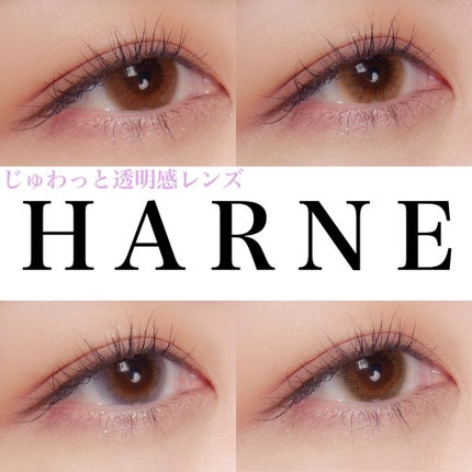 HARNE 1day/HARNE/ã¯ã³ããŒïŒïŒDAYïŒã«ã©ã³ã³ã䜿ã£ãã¯ãã³ãïŒ1æç®ïŒ