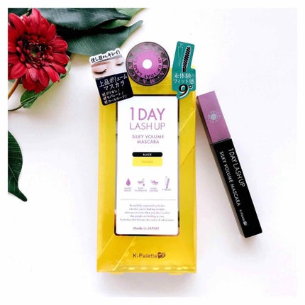 1DAY LASH UP シルキーボリュームマスカラa/K-パレット/マスカラを使ったクチコミ(1枚目)