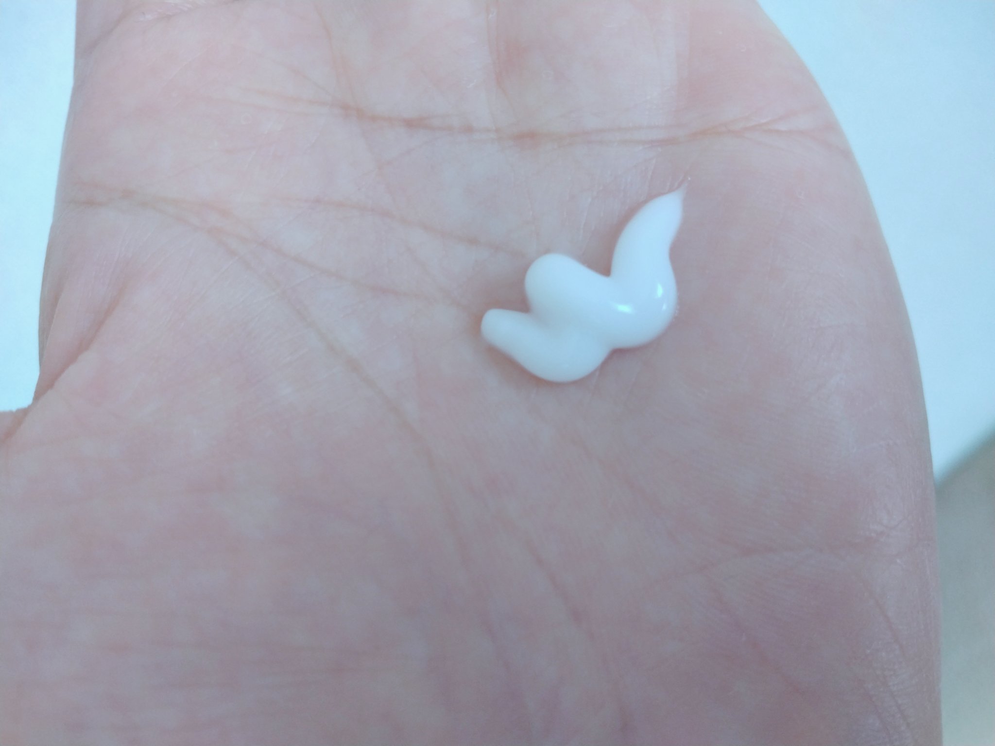 ヒートケア＆スタイリング ミルク/プロスタイル/プレスタイリング・寝ぐせ直しを使ったクチコミ（3枚目）