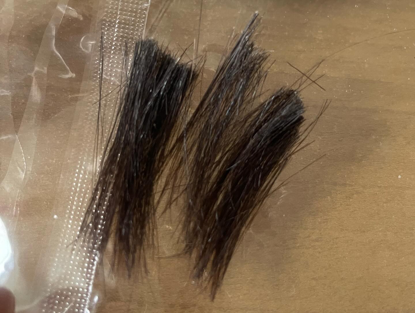 かんたんヘアカットブラシ /ヘアカットモンスター/ヘアケアグッズを使ったクチコミ（2枚目）