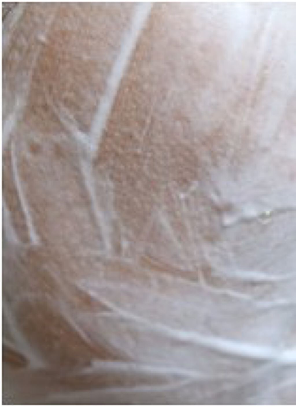 Cell Energy Liquid Face Cleanser/MORIQUENDI/クレンジングジェルを使ったクチコミ（3枚目）