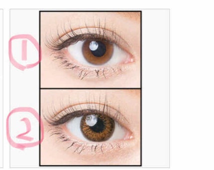 Angelcolor Bambi Series Vintage 1day/AngelColor/ワンデー(1DAY)カラコンを使ったクチコミ(3枚目)