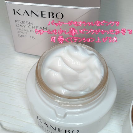 カネボウ フレッシュ デイ クリーム/KANEBO/化粧下地を使ったクチコミ(3枚目)