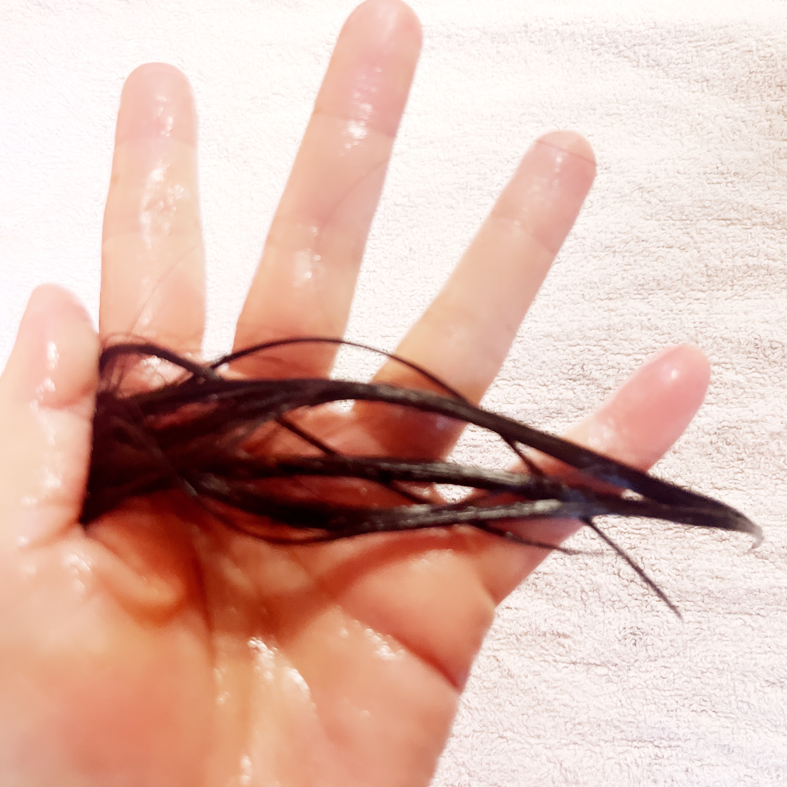 パフュームウォータートリートメント/ELASTINE/洗い流すヘアトリートメントを使ったクチコミ（3枚目）