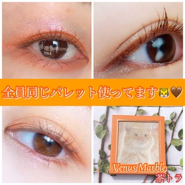 Venus Marble アイシャドウキャットシリーズ/Venus Marble/アイシャドウパレットを使ったクチコミ（1枚目）