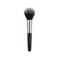 POWDER BRUSH 812 / Studio17