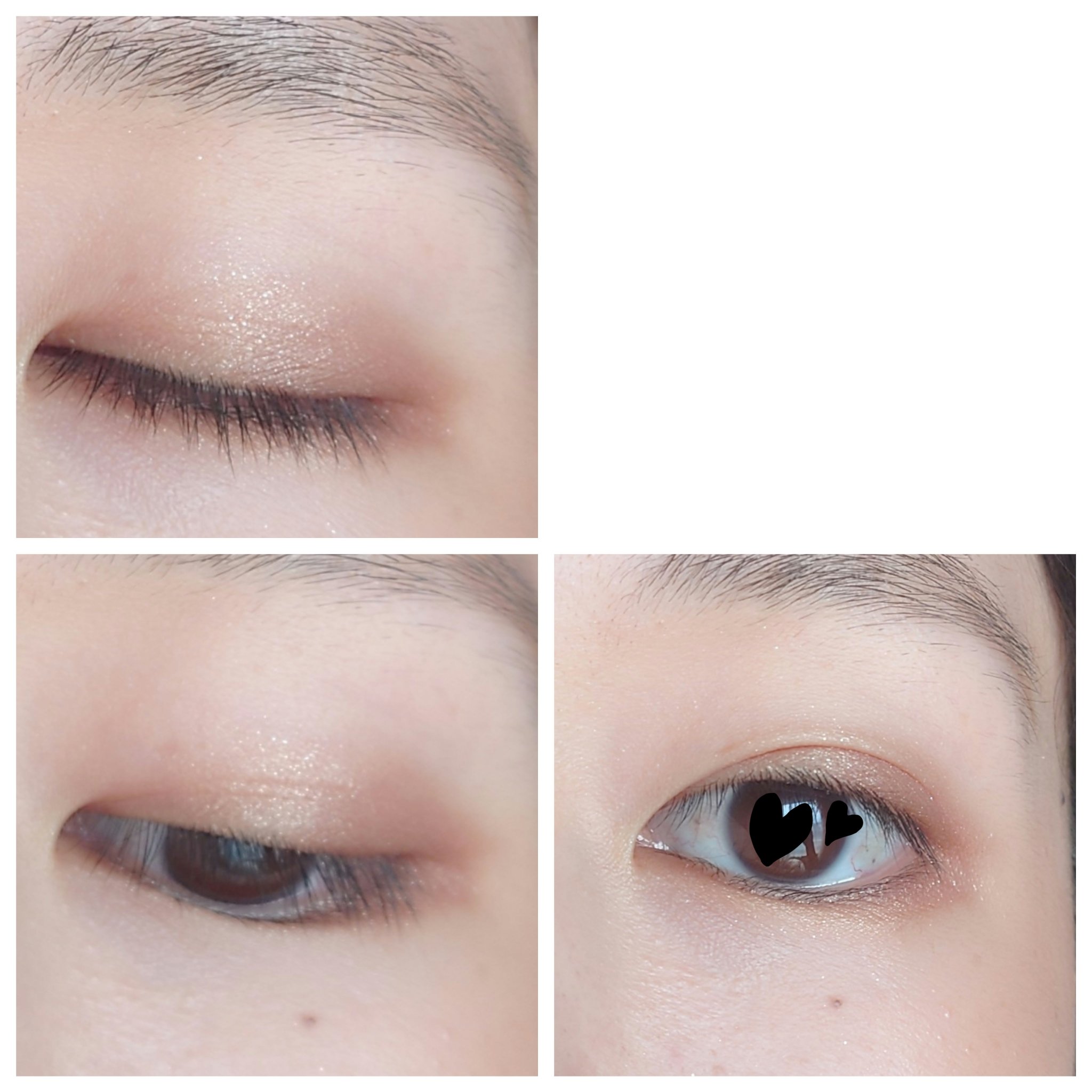 アニマルアイシャドウ(4シェード)/ZEESEA/アイシャドウパレットを使ったクチコミ（2枚目）