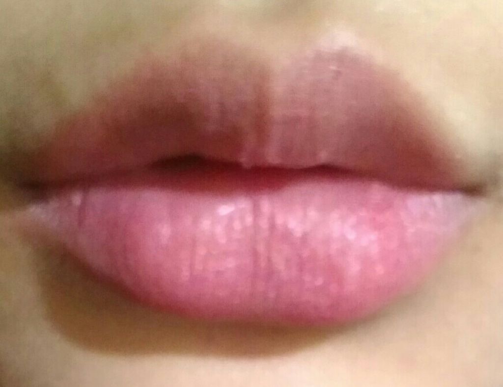 エルファープロフェッショナル リップカラー/DAISO/口紅を使ったクチコミ（2枚目）