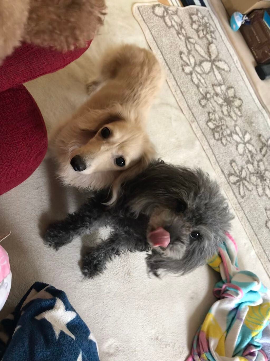 榎本みか on LIPS 「※薬機法改正によりこれから更新頻度が落ちます。こんにちは。いつ..」(1枚目)