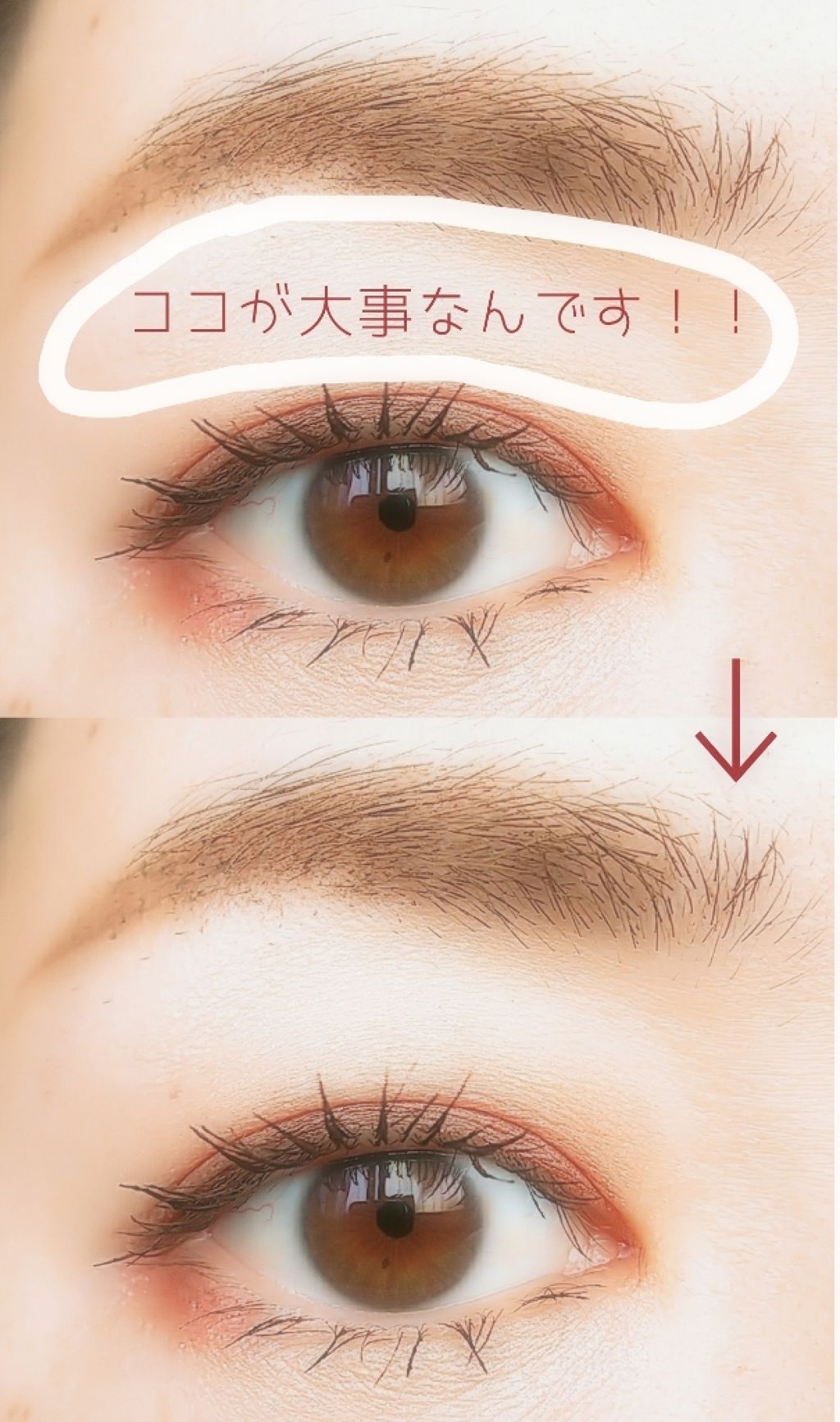 シングルカラーアイシャドウ/CEZANNE/単色アイシャドウを使ったクチコミ（1枚目）