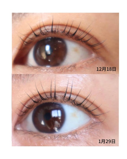 4GFアイラッシュアンプル/manyo/まつげ美容液を使ったクチコミ(7枚目)