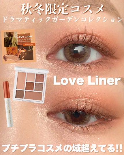 ラブ・ライナー アイカラーパレット ロマンティックブルームコレクション<アイシャドウ>/ラブ・ライナー/アイシャドウパレットを使ったクチコミ(1枚目)