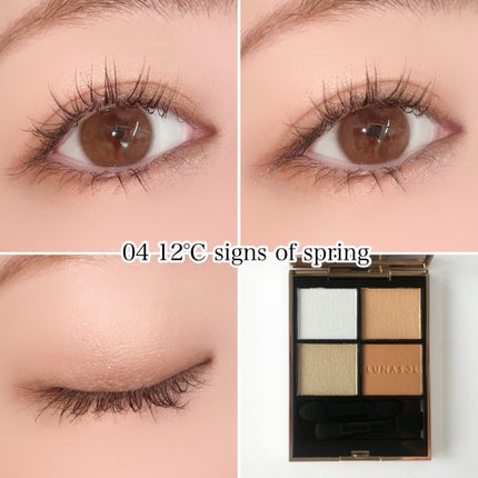 ルナソル アイカラーレーションN/LUNASOL/アイシャドウパレットを使ったクチコミ(4枚目)