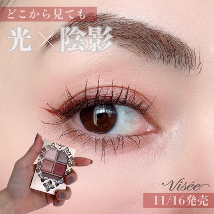 パノラマデザイン アイパレット/Visée/アイシャドウパレットを使ったクチコミ(1枚目)