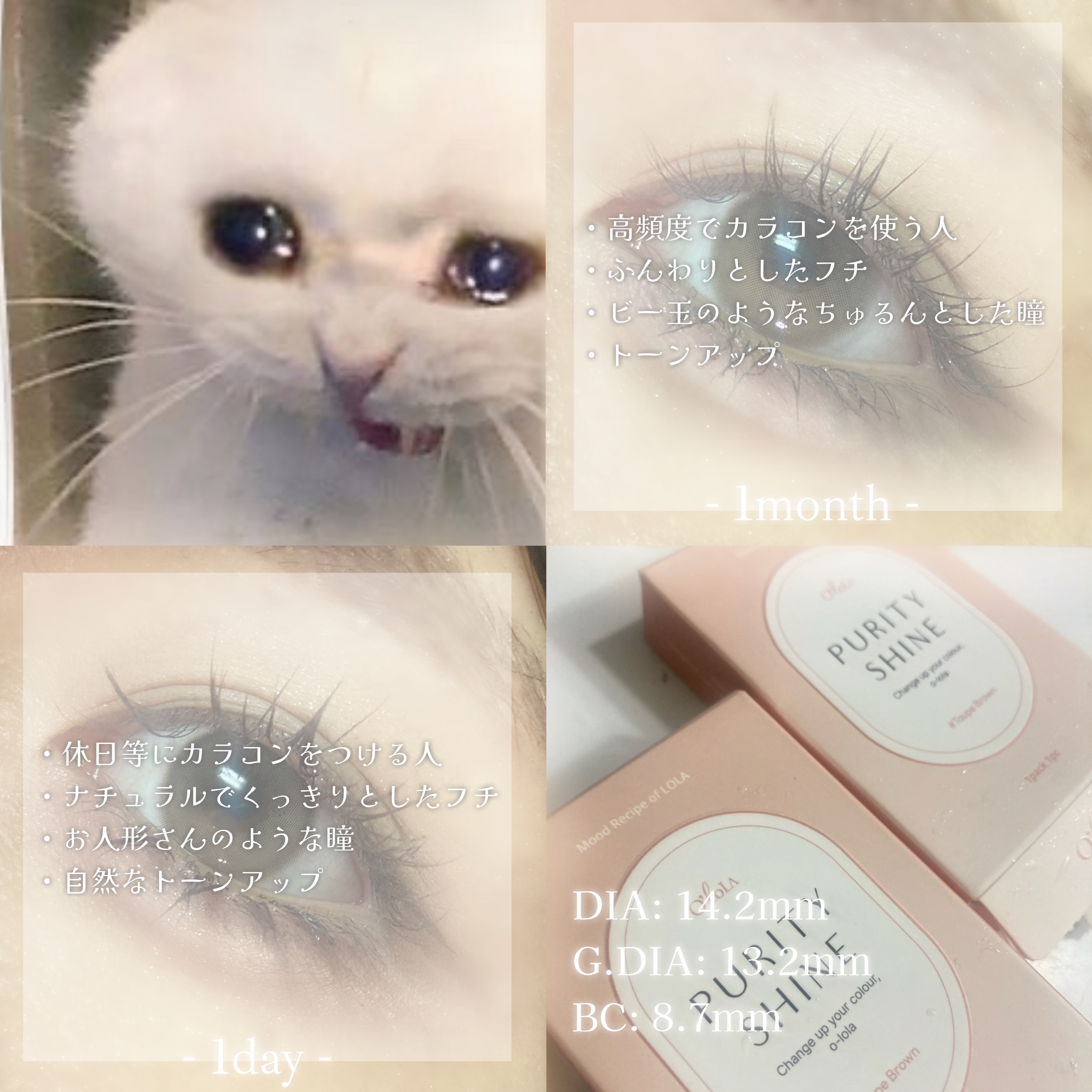 ピュアリティーシャイン マンスリー トープブラウン /OLOLA/カラーコンタクトレンズを使ったクチコミ（3枚目）