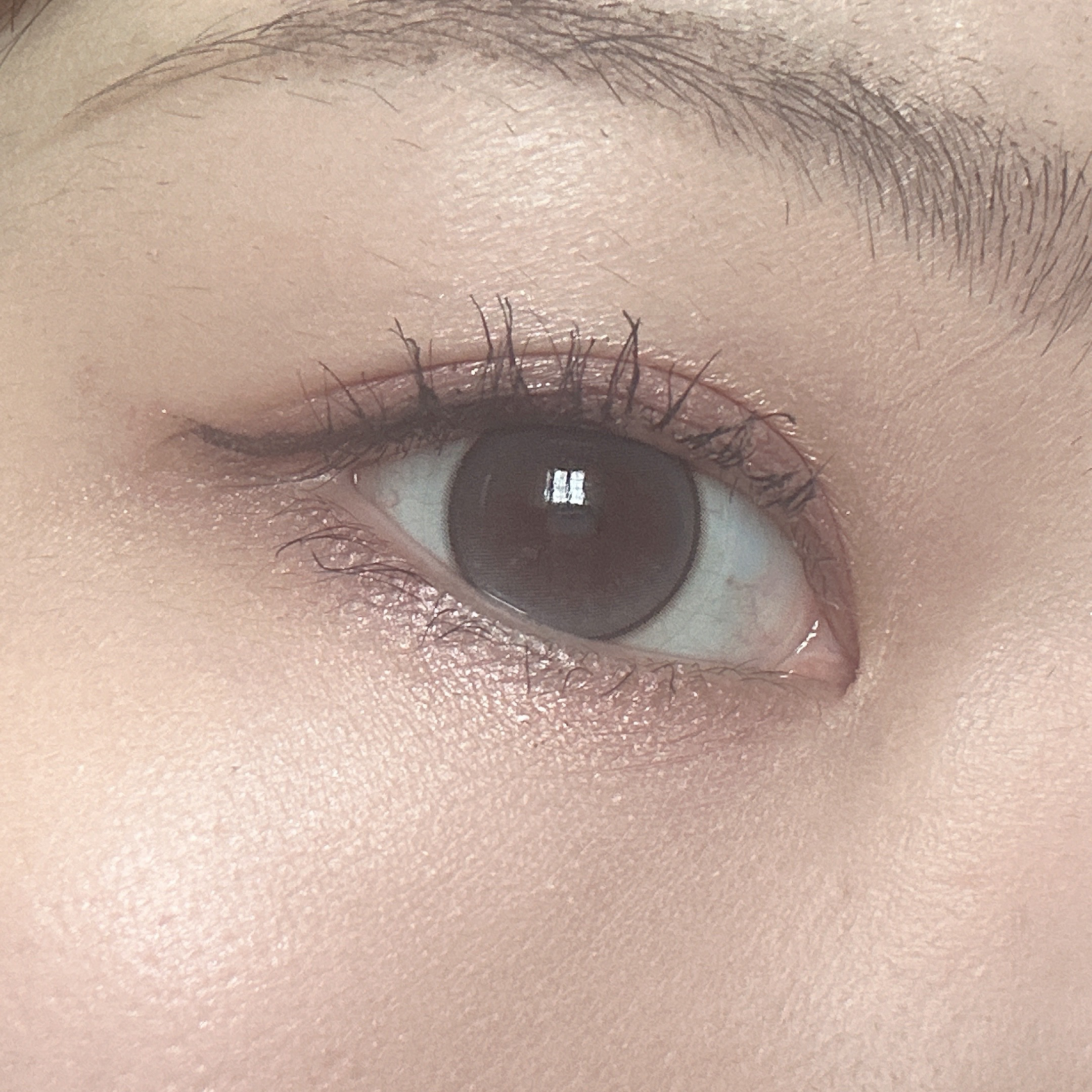 ニュアンス デューイ クリエイター/Visée/アイシャドウパレットを使ったクチコミ（2枚目）