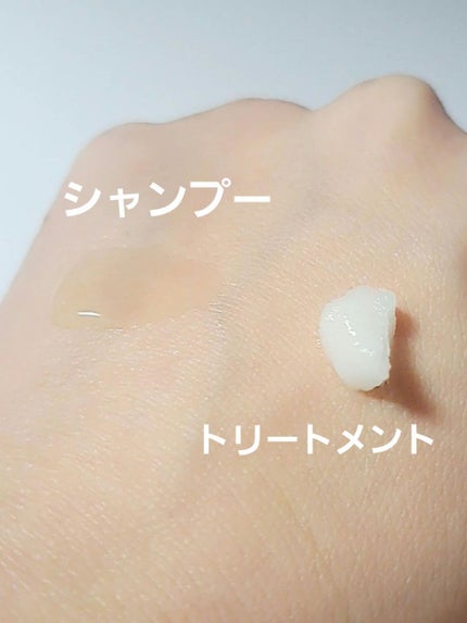 モイストシャイン シャンプー1.0/モイストシャイン トリートメント2.0/beee8/市販シャンプーを使ったクチコミ(2枚目)