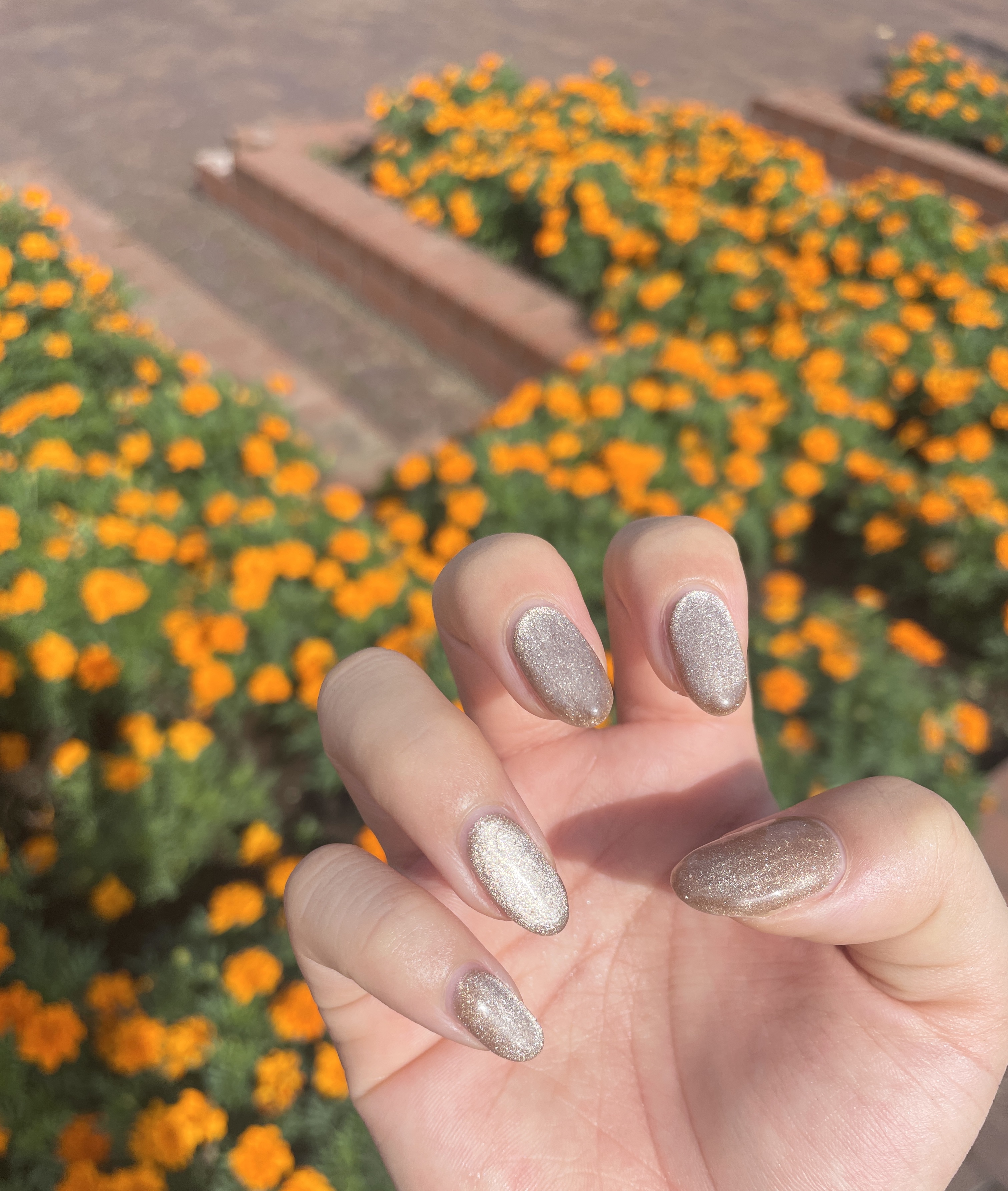 BRG ジェルネイル 1 トップコート/DAISO/ジェルネイルを使ったクチコミ（1枚目）