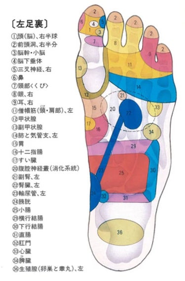 痩身棒/近澤式足裏健康養成学院/ボディグッズの画像