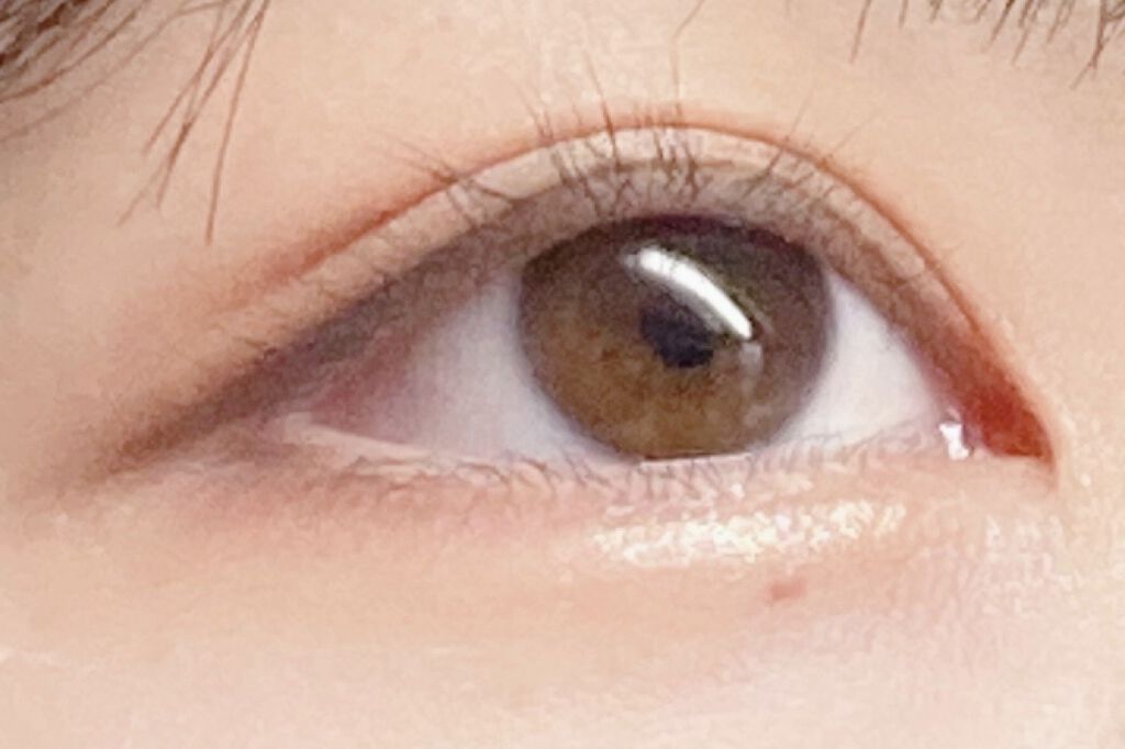 パーフェクトマルチアイズ/キャンメイク/アイシャドウパレットを使ったクチコミ（1枚目）