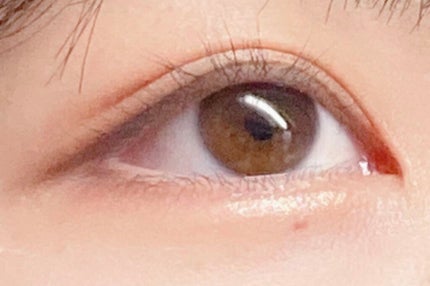 パーフェクトマルチアイズ/キャンメイク/アイシャドウパレットを使ったクチコミ(1枚目)