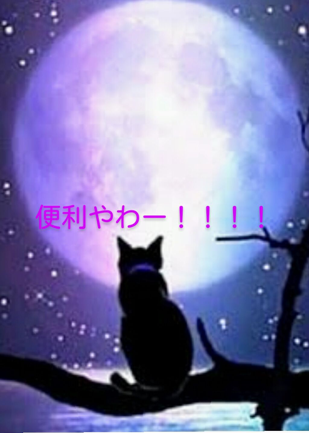 キャンドゥ購入品😄💞/キャンドゥ/その他を使ったクチコミ(1枚目)