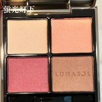 アイカラーレーション/LUNASOL/アイシャドウパレットを使ったクチコミ(3枚目)