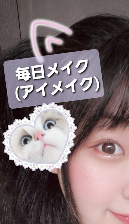 ラスティングマルチアイベース WP/キャンメイク/アイシャドウベースを使ったクチコミ(1枚目)