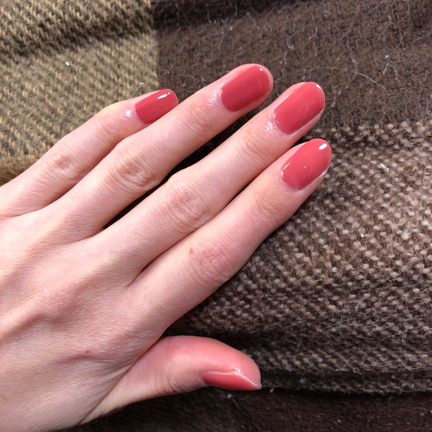 カラフルネイルズ/キャンメイク/マニキュアを使ったクチコミ(3枚目)