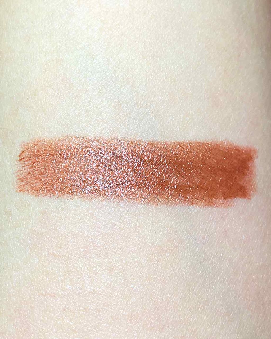 ラスティング リップカラーN 105 ブラウン系/CEZANNE/口紅を使ったクチコミ（2枚目）