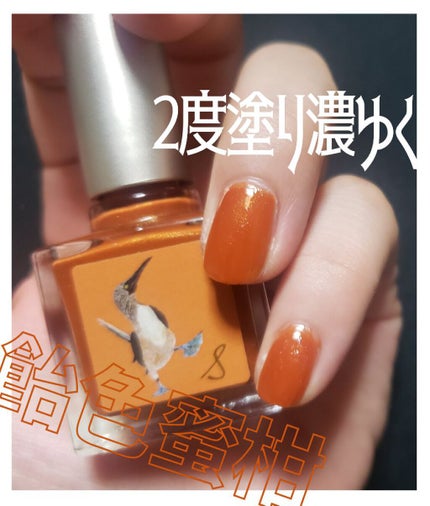 ネイルエス/ nail S(ネイルエス) /マニキュアを使ったクチコミ(1枚目)