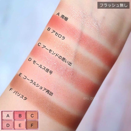 ナイストゥミーチュートランク/MAJOLICA MAJORCA/アイシャドウパレットを使ったクチコミ(6枚目)