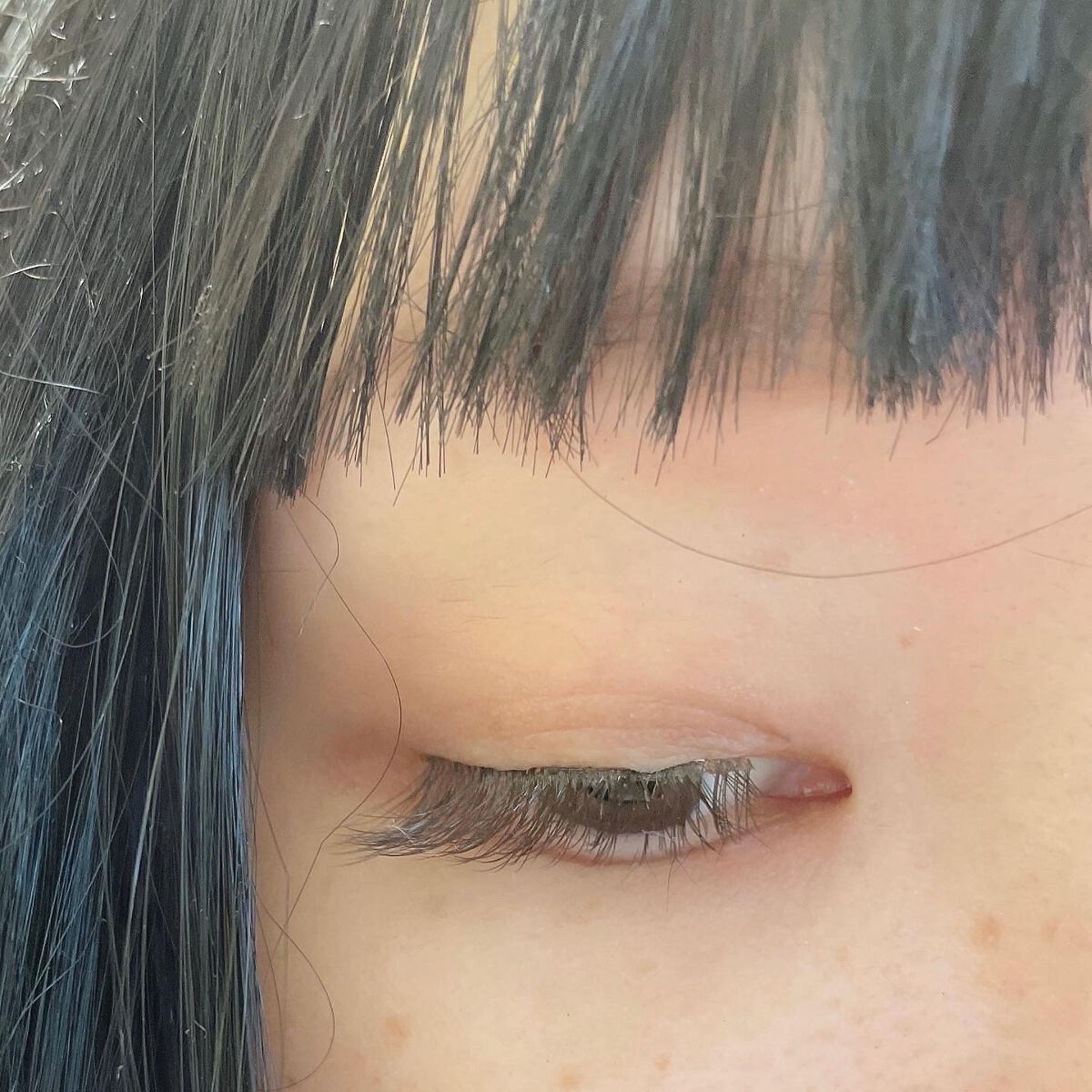 ミッシュブルーミン 3Dアイラッシュライン No.12 スウィートブラウン/ミッシュブルーミン/つけまつげを使ったクチコミ（3枚目）