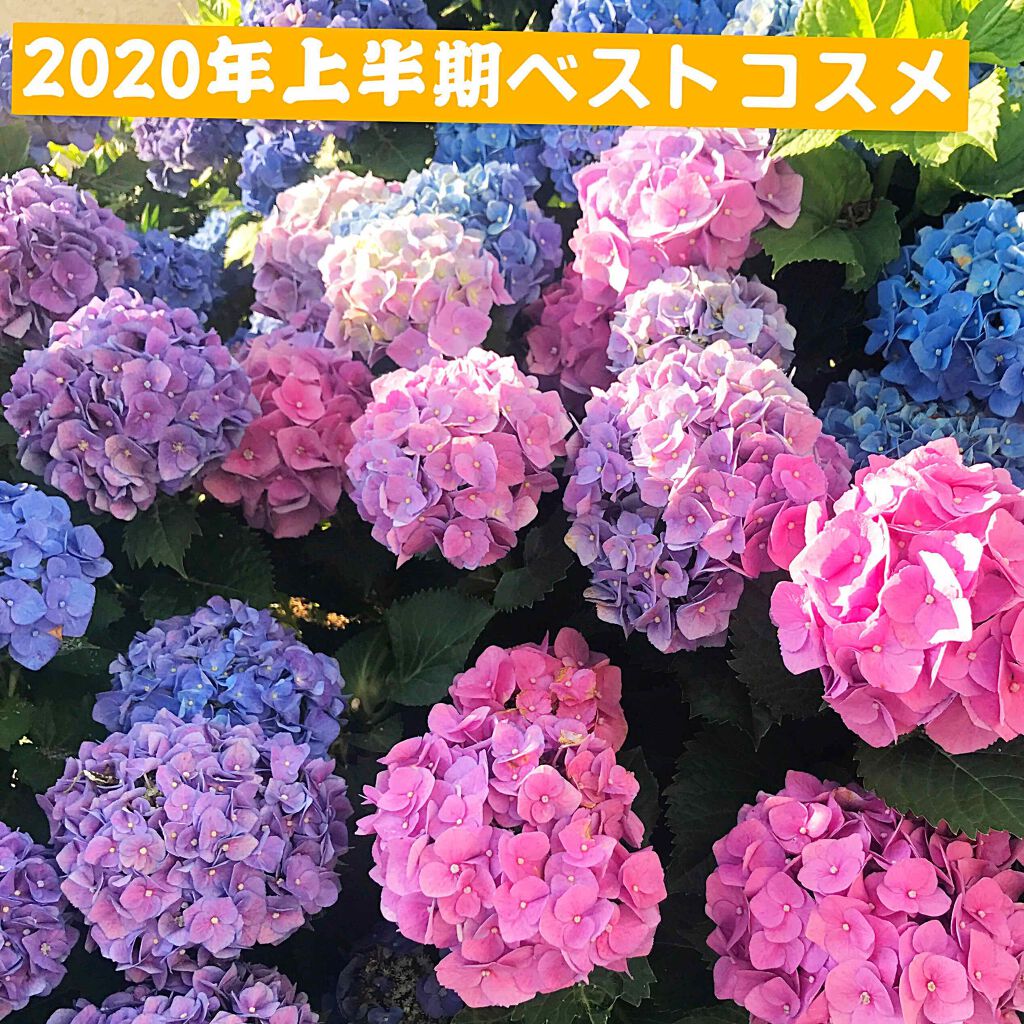 ハイポアレジェニック シカ レスキューガーゼパッド/Dermatory/シートマスク・パックを使ったクチコミ（1枚目）