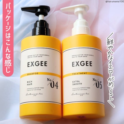 エグジー シャンプー/トリートメント/EXGEE/市販シャンプーを使ったクチコミ(5枚目)