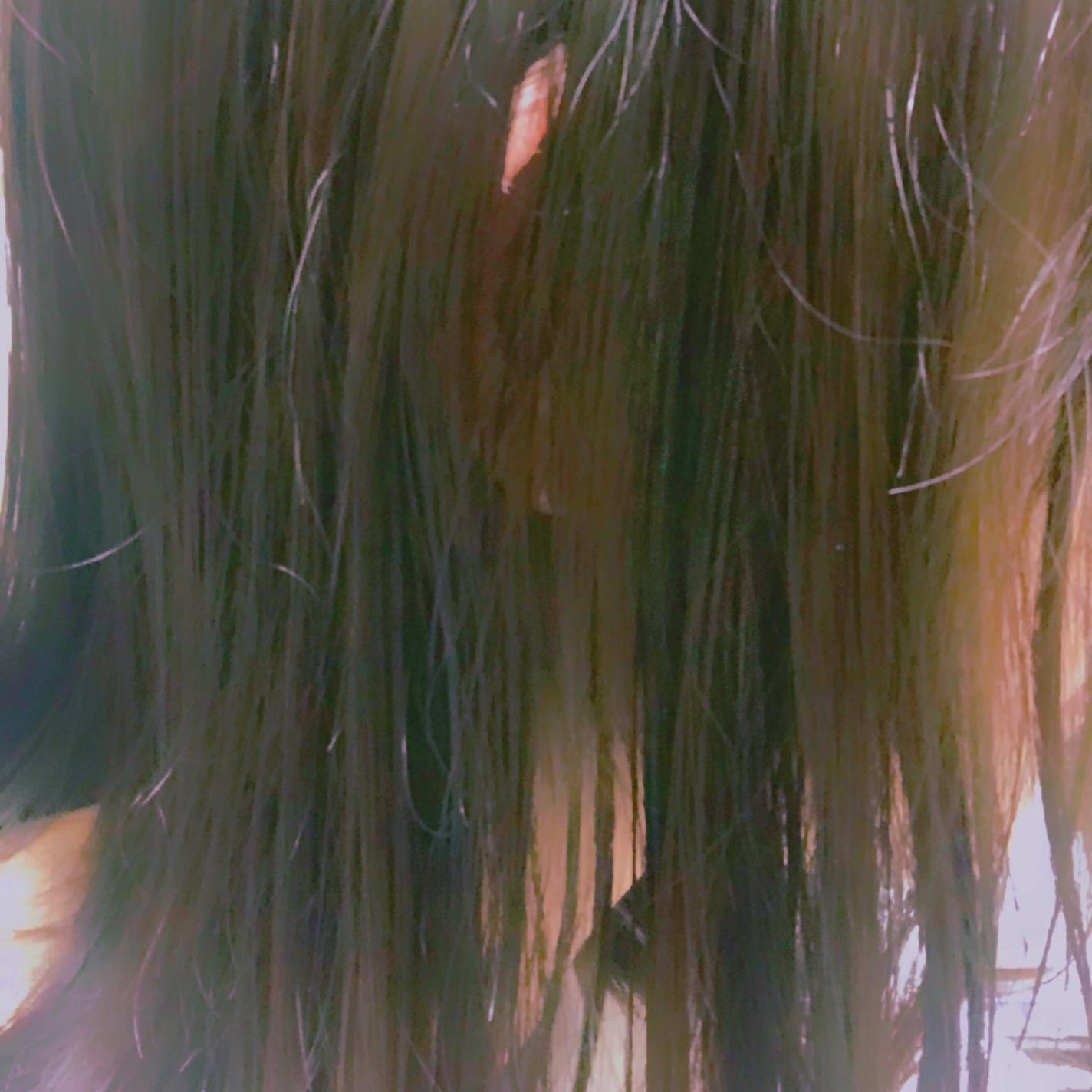 バランスリペア シャンプー/ヘアトリートメント スムース/hiritu/市販シャンプーを使ったクチコミ(4枚目)